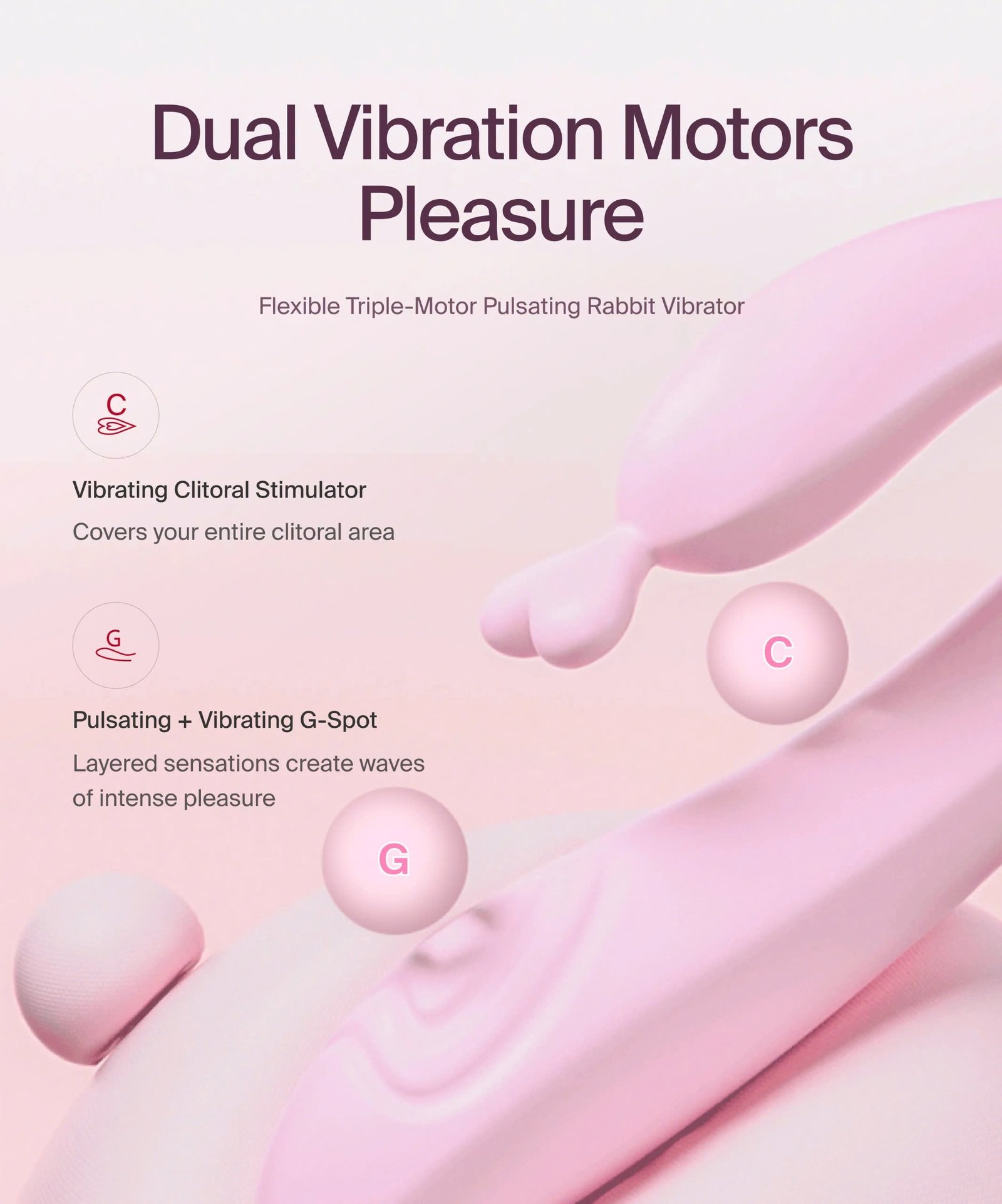 MISS HEARTS - Hình ảnh 4