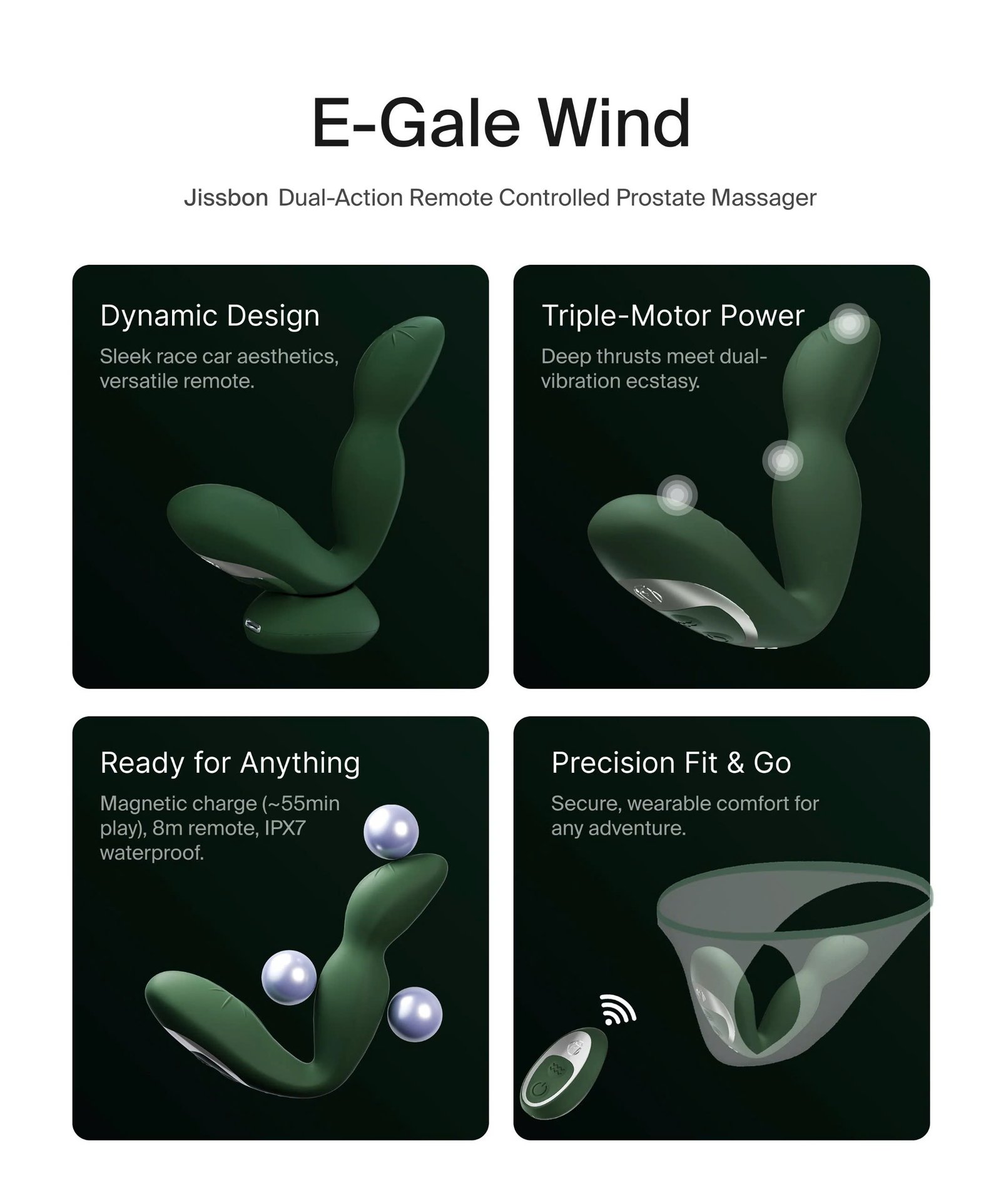 E-GALE WIND - Hình ảnh 2