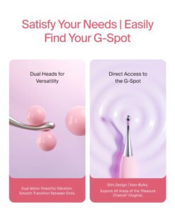 Alternative view of PINK-NECKED SWAN