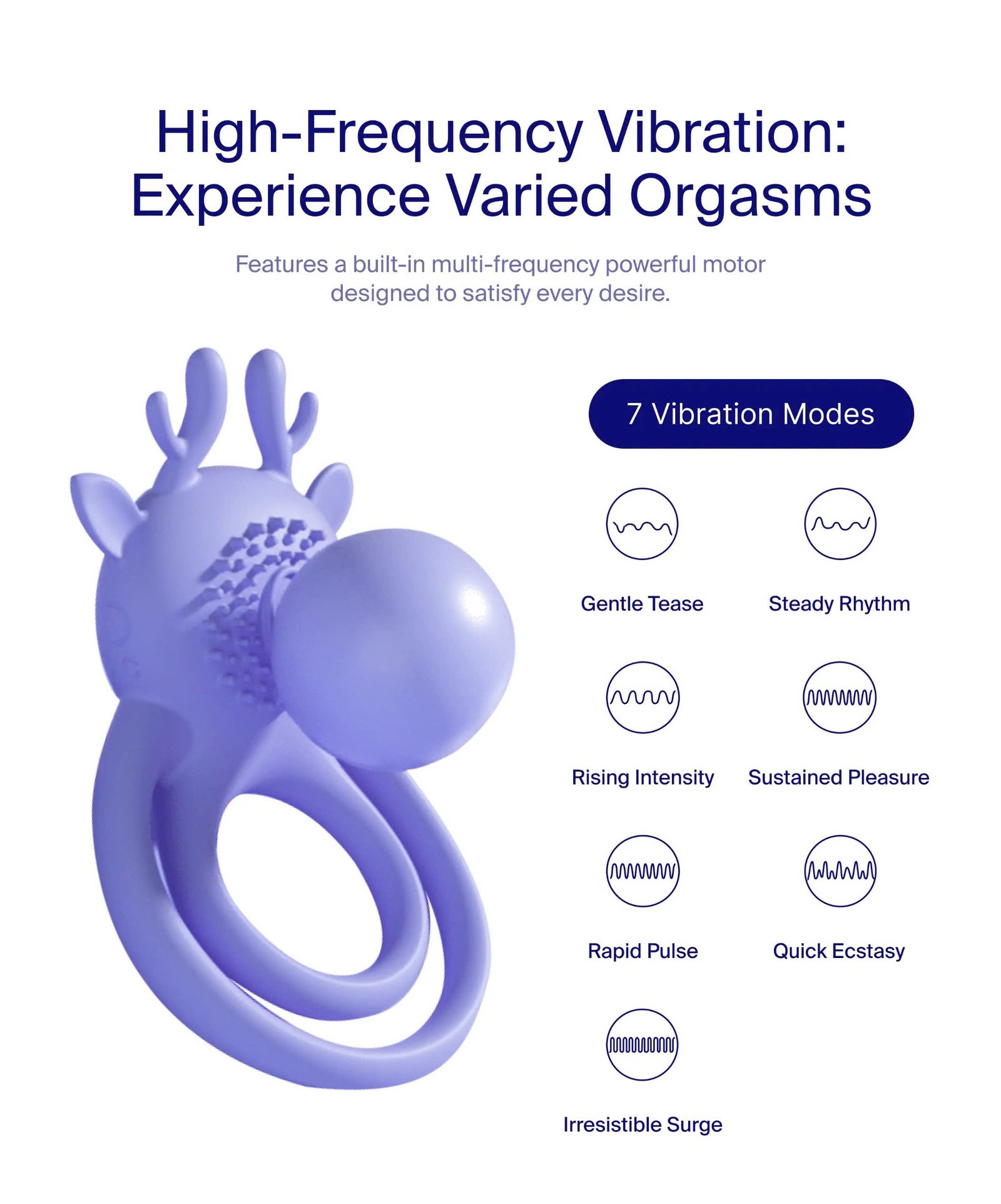 E-INTENSE MOOSE - Hình ảnh 2